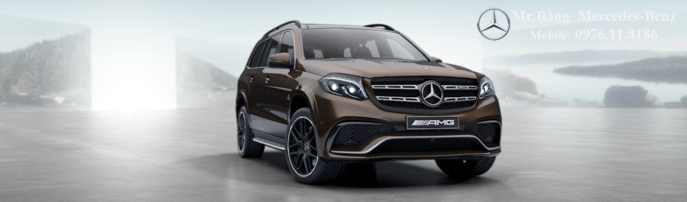 Mercedes AMG GLS 63 4Matic 2017 (13)