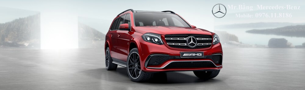 Mercedes AMG GLS 63 4Matic 2017 (15)