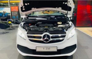 Mercedes V250 Luxury