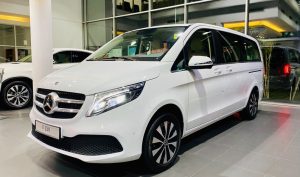 Mercedes V250 Luxury